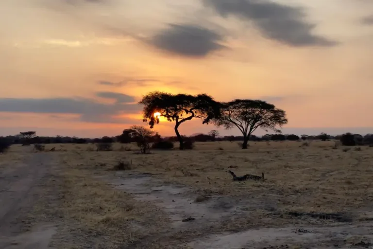 Tarangire National Park