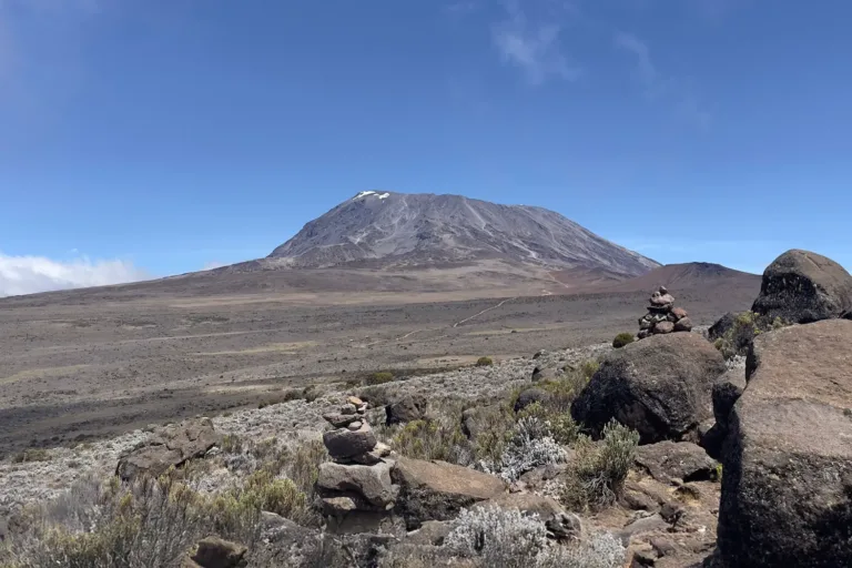 Kilimanjaro
